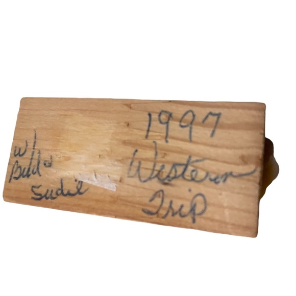 Vintage Petrified Wood, cabbing rough, gemstone, specimen, mineral rough, - Picture 4 of 6